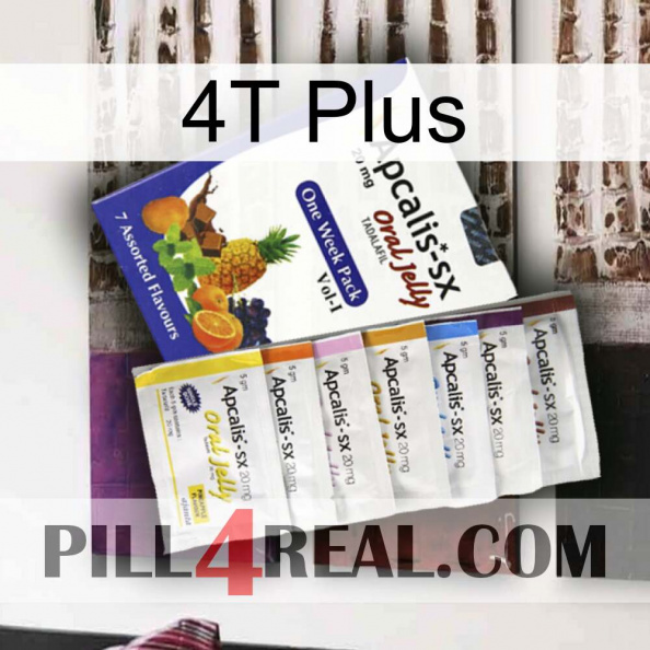 4T Plus 11.jpg